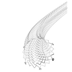 stent periferico / per arteria femorale / in nitinol