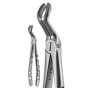 pinze per estrazione denti per molari