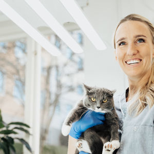 illuminazione per studio veterinario 1