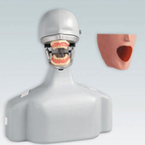 simulatore di paziente per cure odontoiatriche
