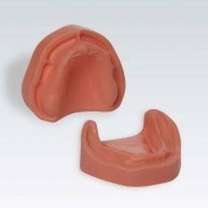 modello anatomico gengivale 1