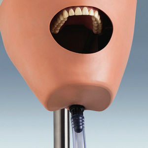 manichino didattico per cure odontoiatriche