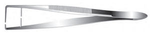 pinza dentale