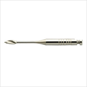 punta endodontica