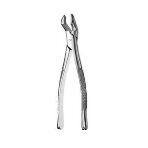 pinza dentale 1