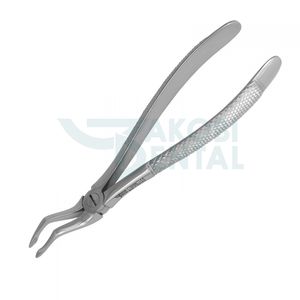 pinza per estrazione di radici dentali 1