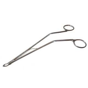 pinza dentale 1