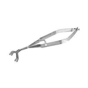 pinza dentale 1
