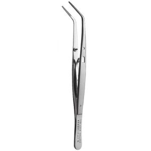 pinza dentale