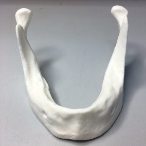 modello anatomico di mandibola