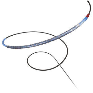 stent coronarico