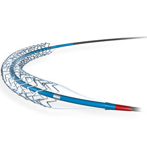 stent coronarico / in platino-cromo / a rilascio di farmaci