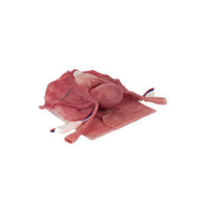 Morsetto Chirurgico STEALTH Applied Medical A3202 Misura 1, Ganascia 60°, Lunghezza 6 – USA