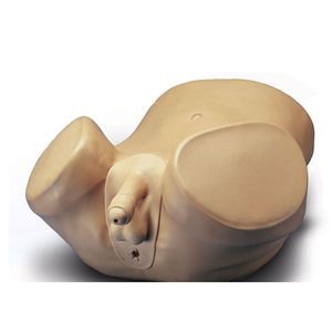 simulatore di palpazione prostatica 1