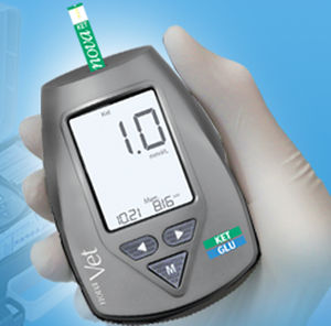 glucometro chetonemia / veterinario