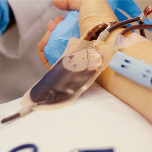 sacca per sangue quadrupla