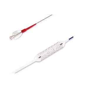 stent coronarico 1