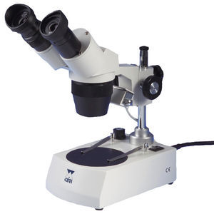 stereomicroscopio binoculare