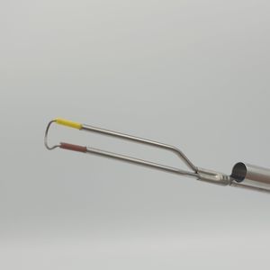 elettrodo per endoscopia 1