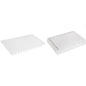 micropiastra per PCR
