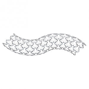 stent arteria iliaca 1