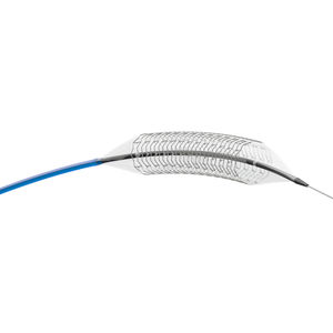 stent periferico 1