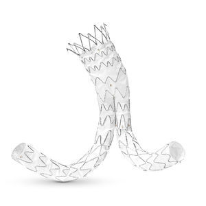 innesto stent aorta addominale