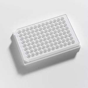 micropiastra per coltura cellulare