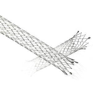 stent biliare 1