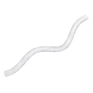 stent biliare 1
