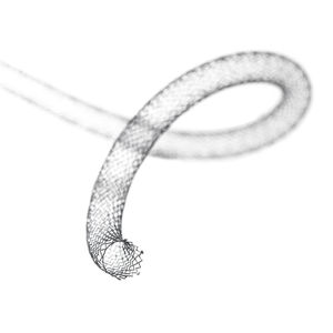 stent periferico 1