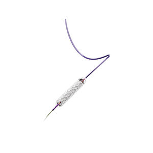 stent periferico 1