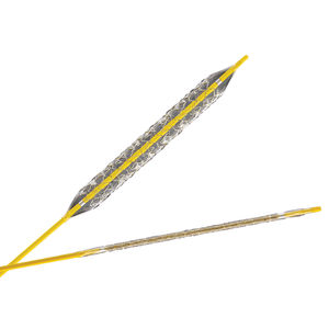 stent biliare 1