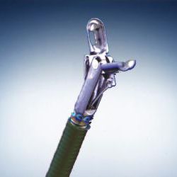 pinza endoscopica / per biopsia / monouso / in acciaio inossidabile