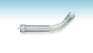 stent esofageo 1