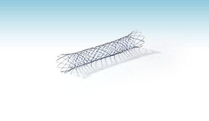 stent biliare 1