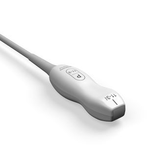 sonda ecografica phased array