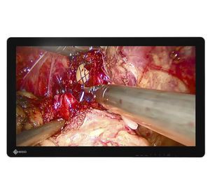 monitor per endoscopia