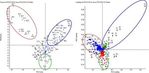 software di analisi 1