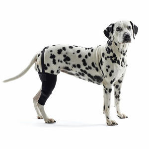 proteggi-articolazioni veterinario ginocchiere