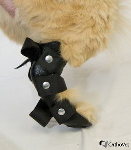 steccobenda veterinaria per zampe