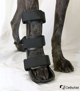 steccobenda veterinaria per zampe