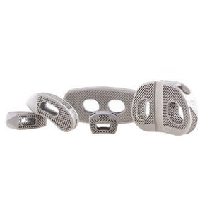 gabbia intersomatica cervico-toraco-lombare