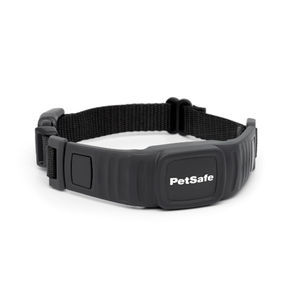collare veterinario per cani