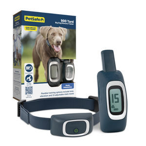 collare veterinario per cani