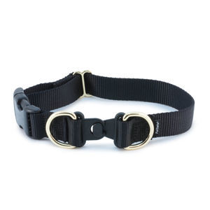 collare veterinario per cani