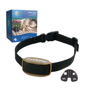 collare veterinario per cani