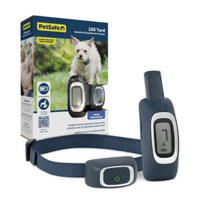 collare veterinario per cani