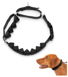 collare veterinario per cani