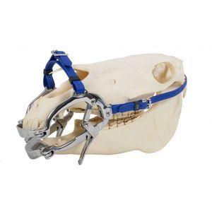 speculum veterinario odontoiatrico 1